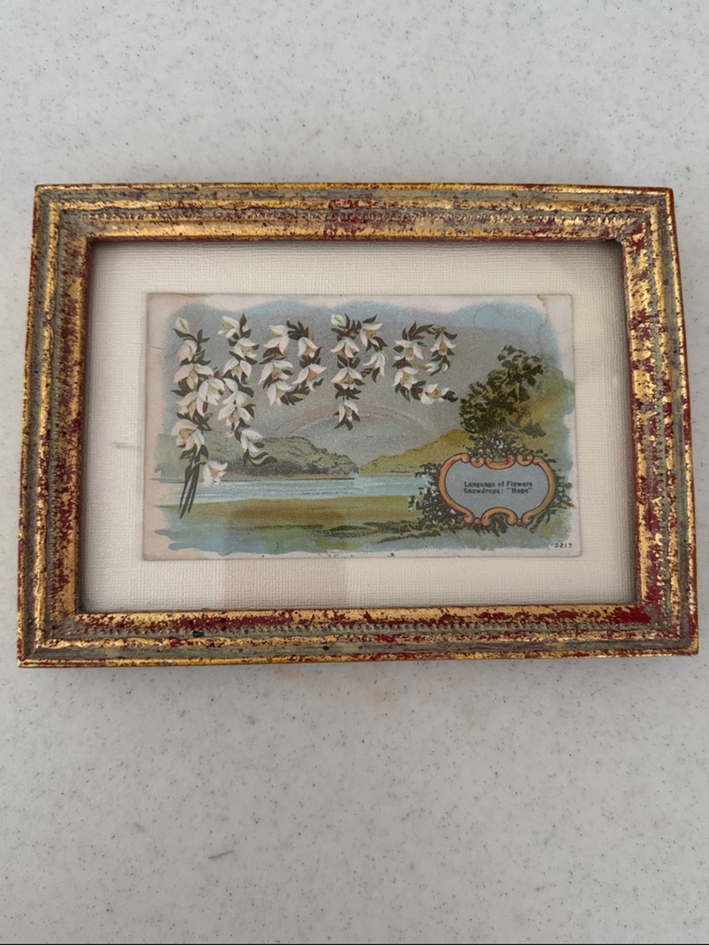 Vintage 5x7” Framed Postcard “Language of Flowers Snowdrops: Hope”